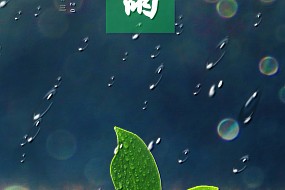 谷雨丨春尽夏将至，繁花似锦来