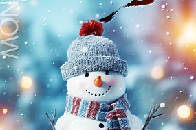 小雪，万物收藏，静候春归期