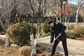 福佳地产：养树护绿，绘就美好家园