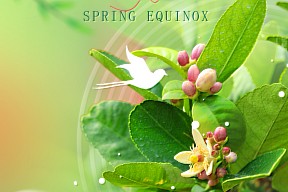 春分丨春分做序，昼夜言和