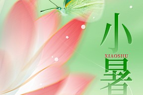 小暑丨温风初入夏，蝉鸣伴昼长